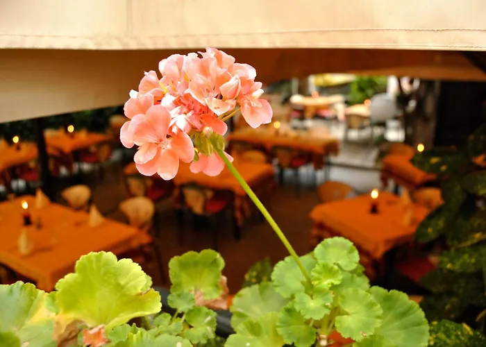 Hotel Fiorentino